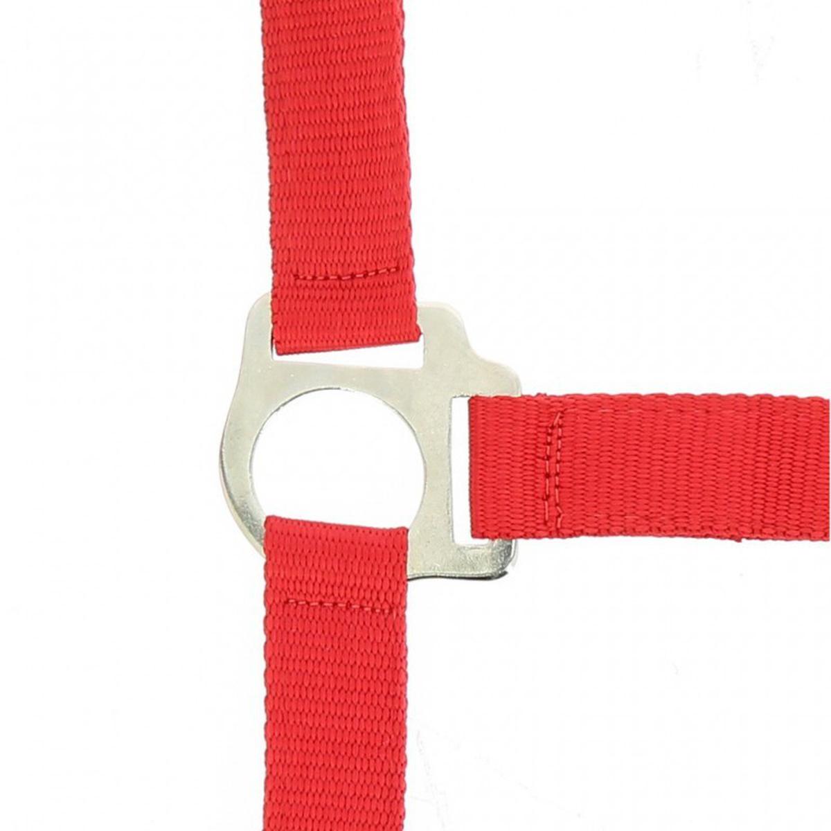 product/5/1/510118103.jpg