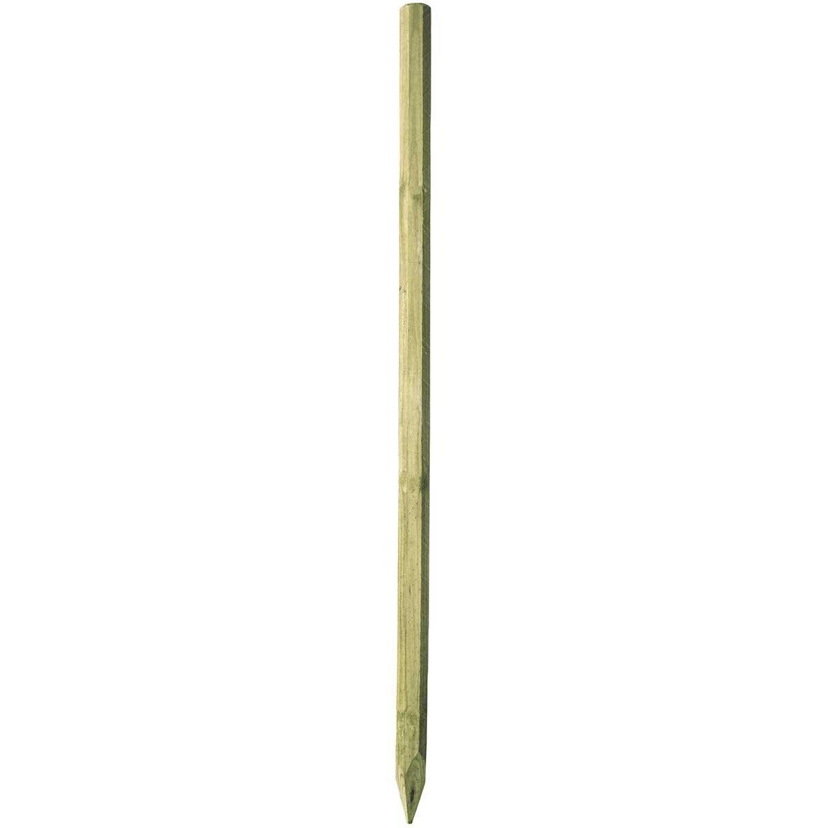 product/a/k/ako_441820_beige-vert_1.jpg