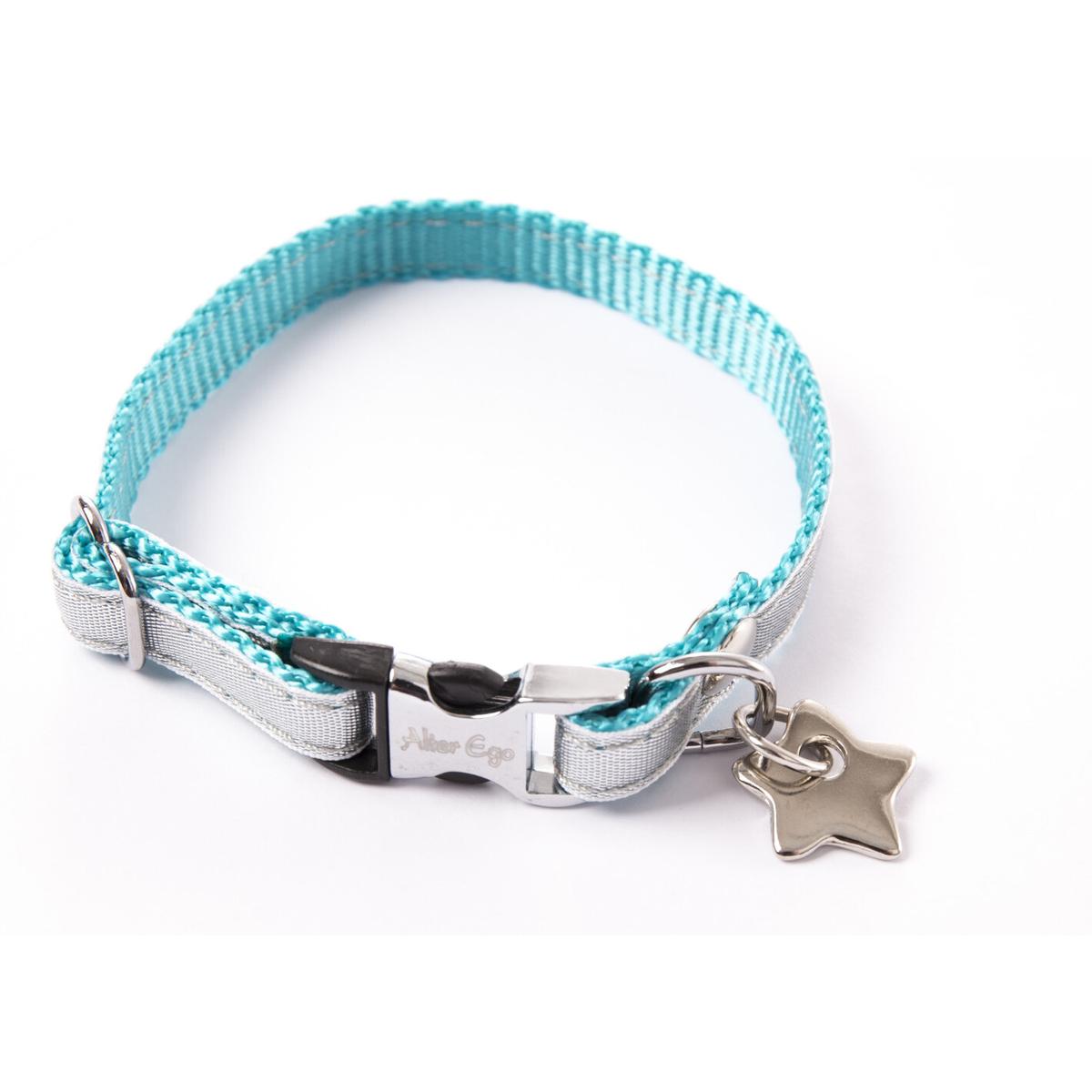 product/a/l/alter-ego_3008313_turquoise_1.jpg