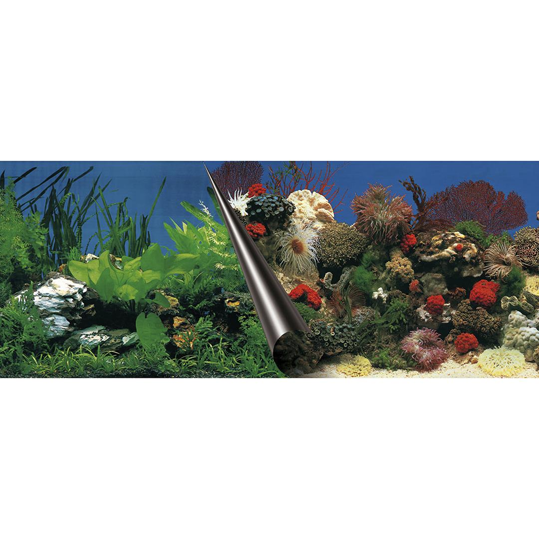 product/a/q/aqua-della_241_108857_multicolor_1.jpg