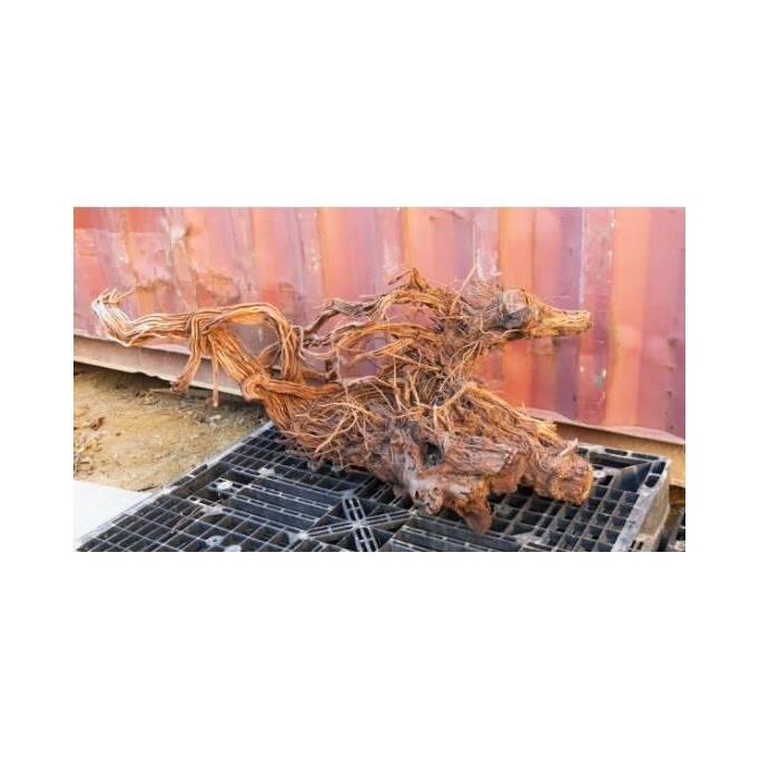 product/a/q/aquavie_ant111525v2_marron_2.jpg