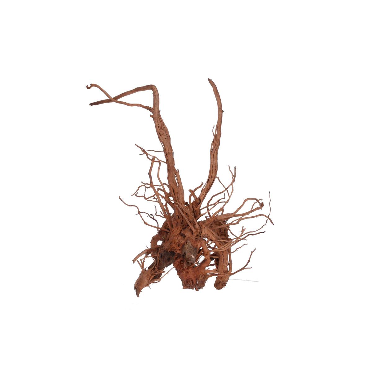 product/a/q/aquavie_av111525_marron_2.jpg