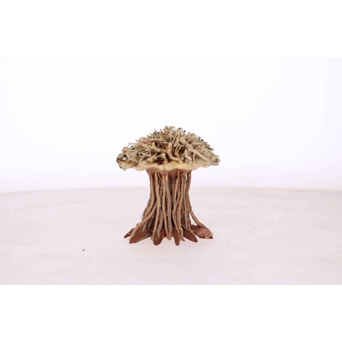 product/a/q/aquavie_av111532_marron-brown_2.jpg