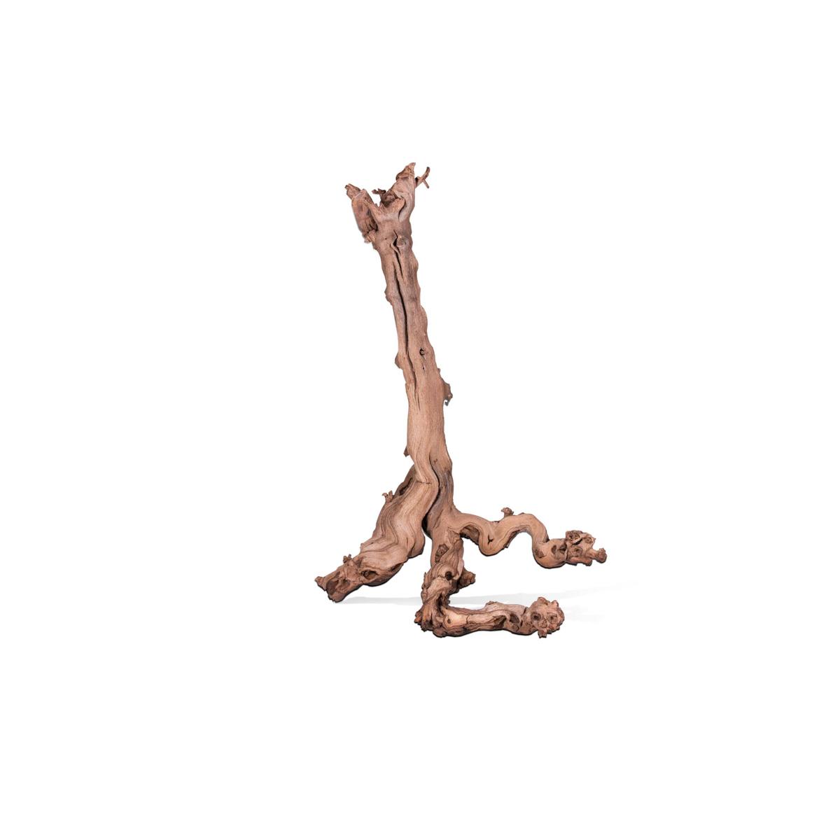 product/a/q/aquavie_av211676_marron_1.jpg