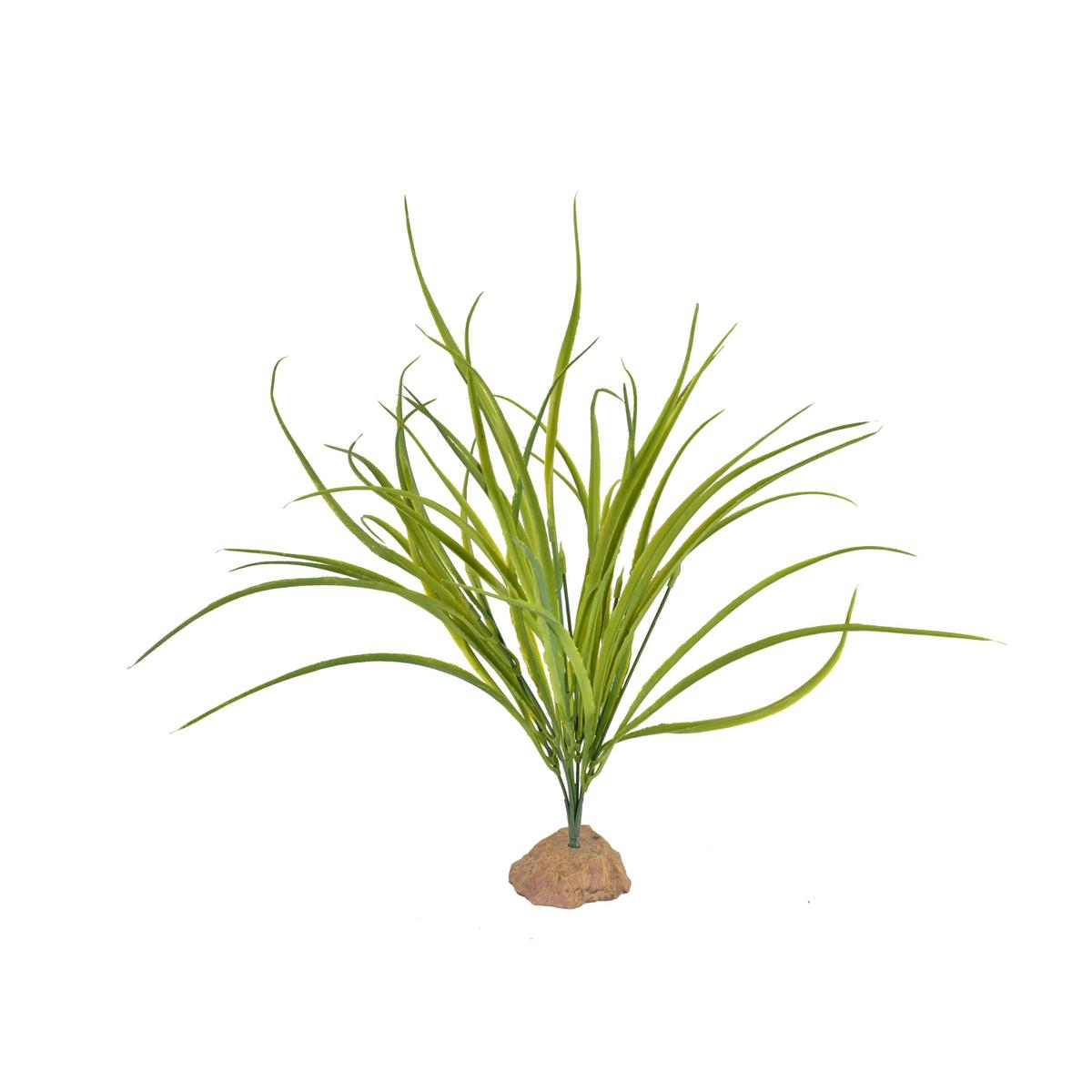 product/a/q/aquavie_av4772_vert_1.jpg