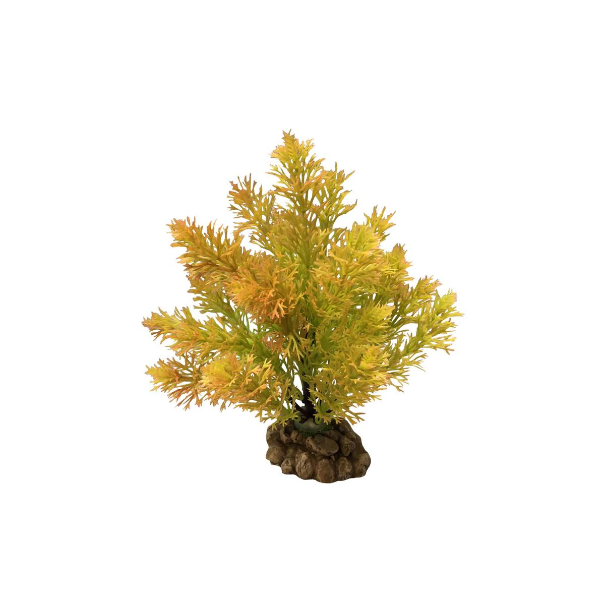 product/a/q/aquavie_av4773_jaune_1.jpg