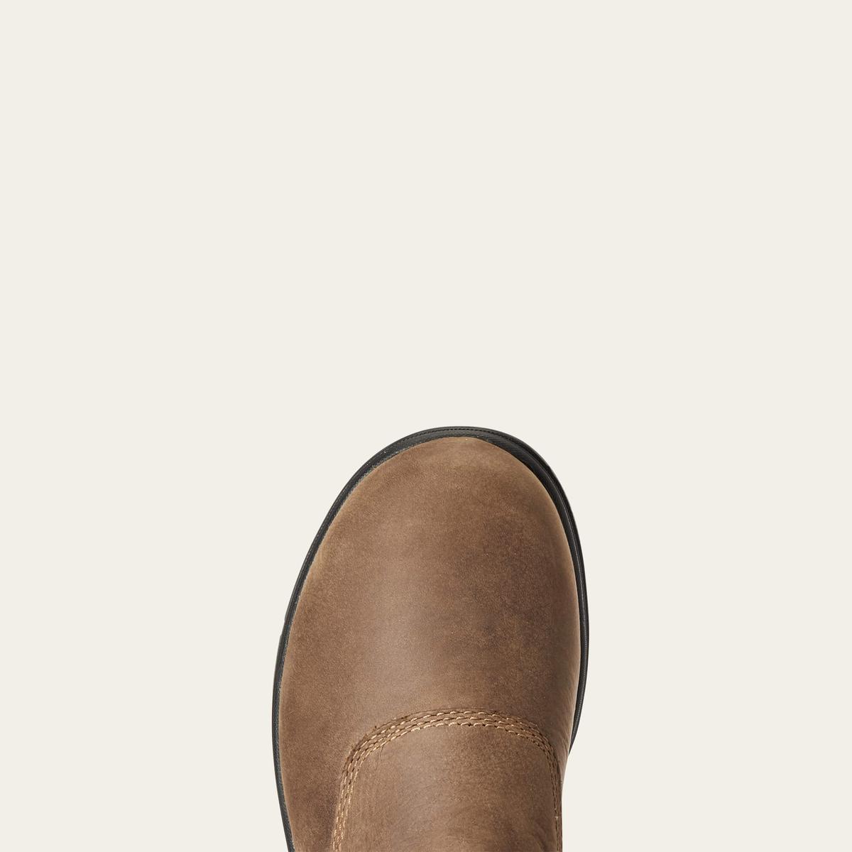 product/a/r/ariat_10033862_2.jpg