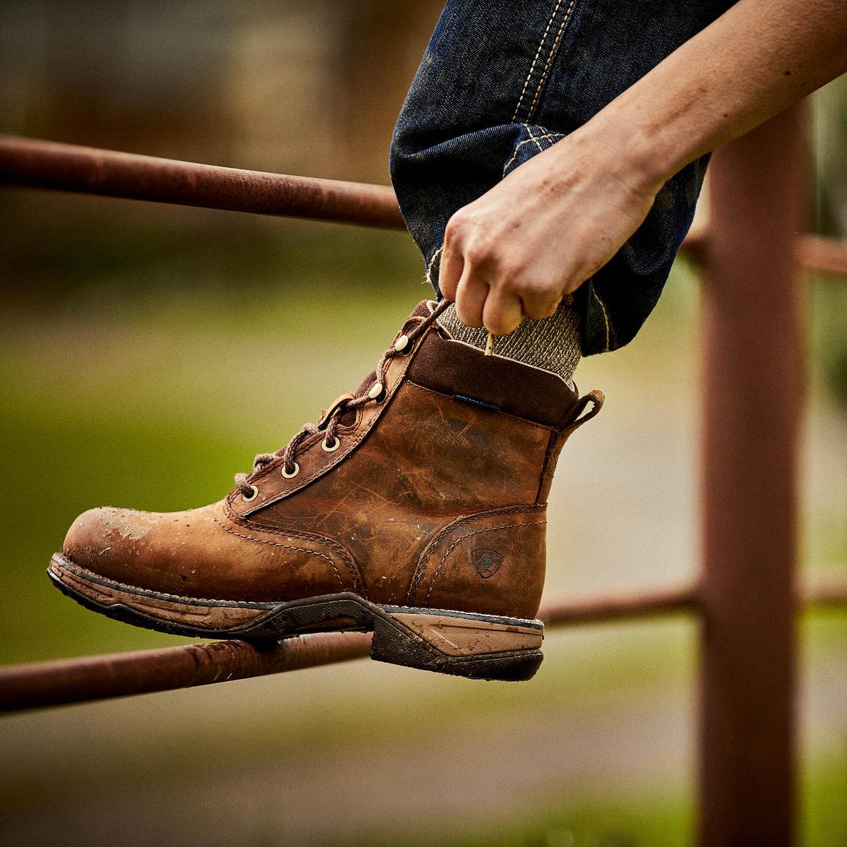 product/a/r/ariat_10035822_6.jpg