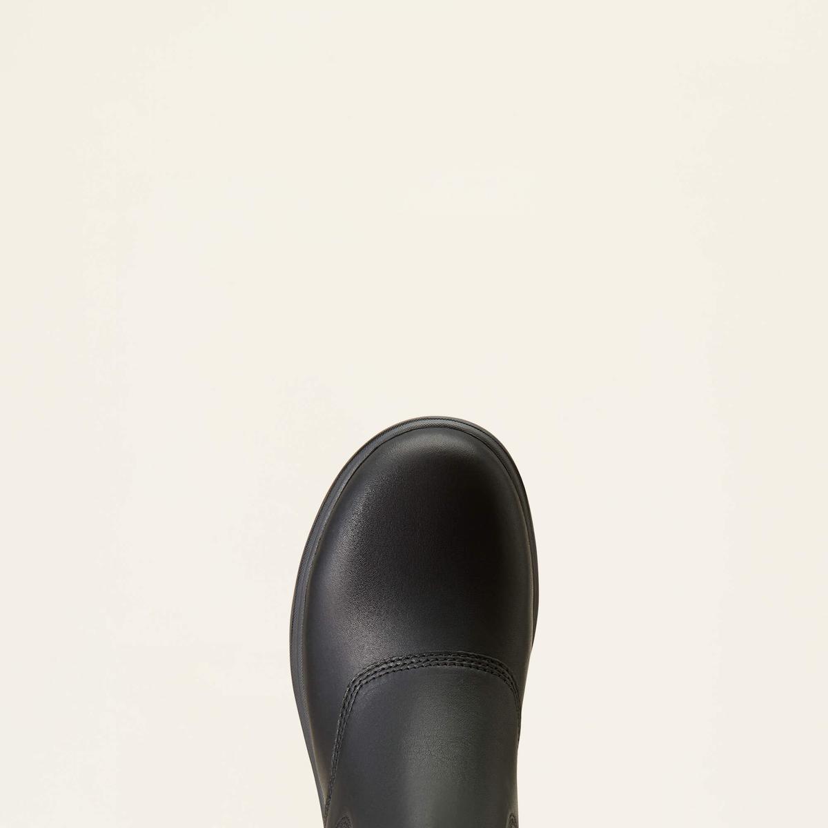 product/a/r/ariat_10046856_2.jpg