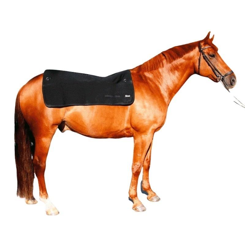 product/b/a/back-on-track_b21000000_noir_2.jpg