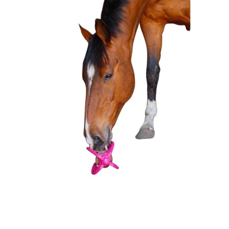 product/b/i/bizzy-horse_380080052_mag4515686_2.jpg