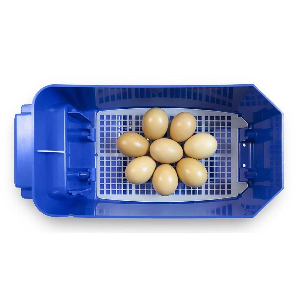 product/b/o/borotto_530300008_bleu_6.jpg