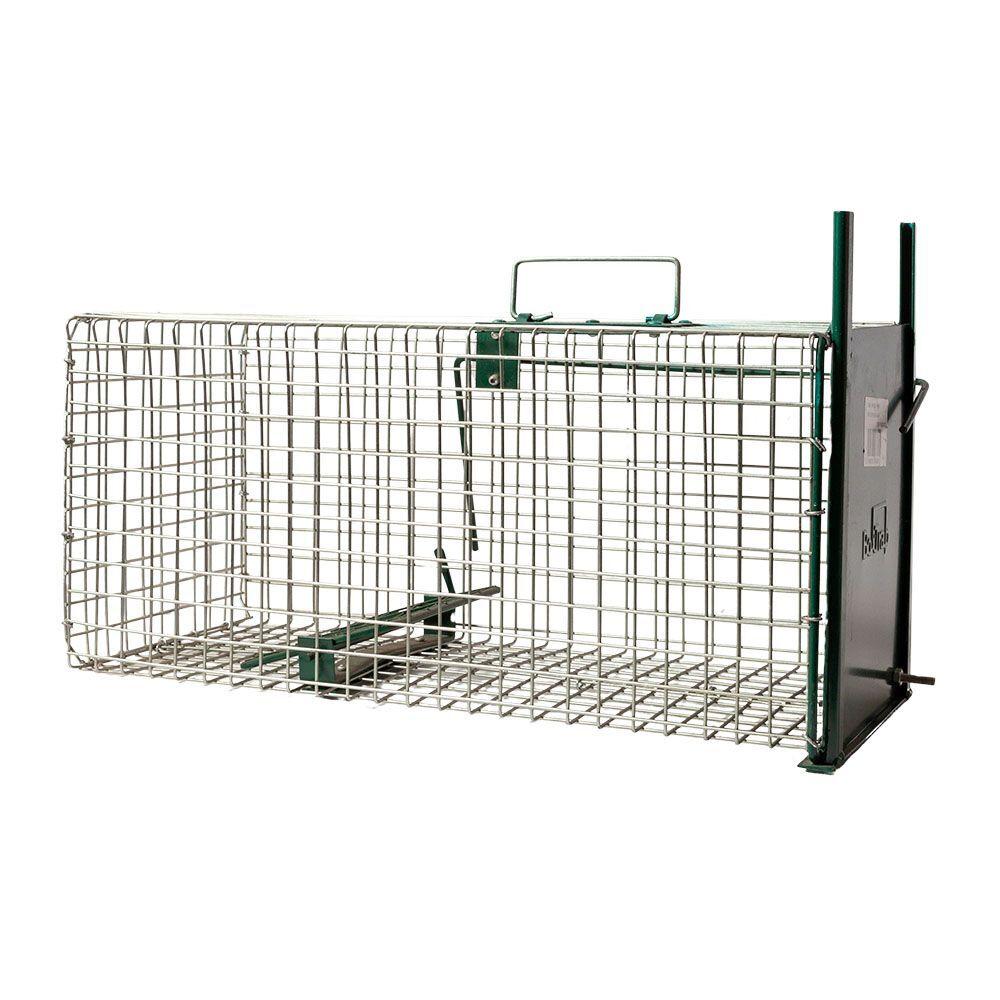 product/b/o/boxtrap_129701502020_argente-vert_1.jpg