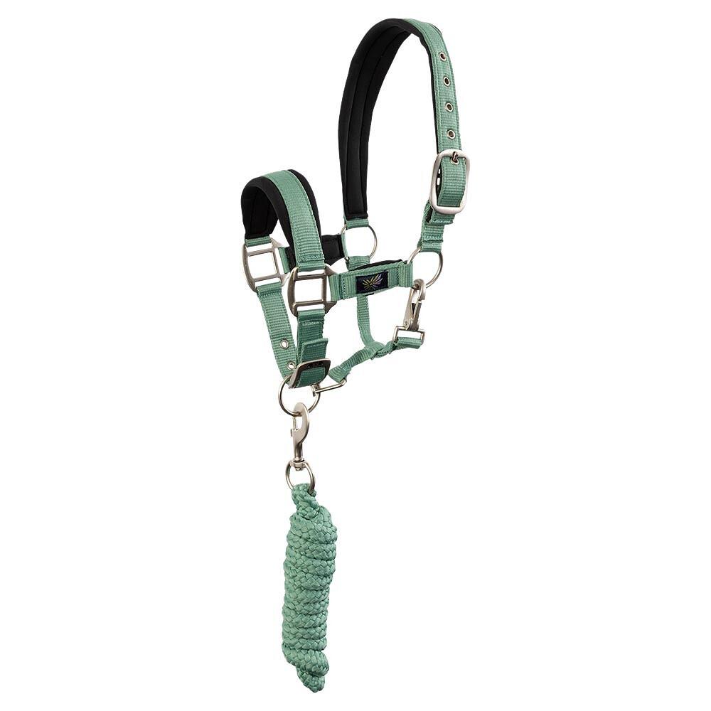 product/b/r/br-equitation_232332-g1128-40_feldspar_1.jpg