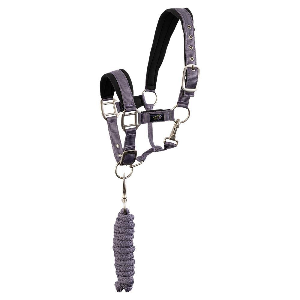 product/b/r/br-equitation_232332-p1198-40_cadet_1.jpg