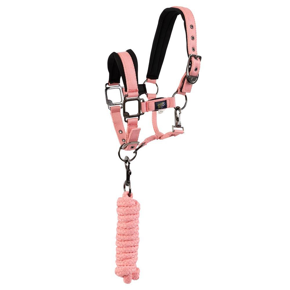 product/b/r/br-equitation_232332-p125-820_peach-blossom_1.jpg