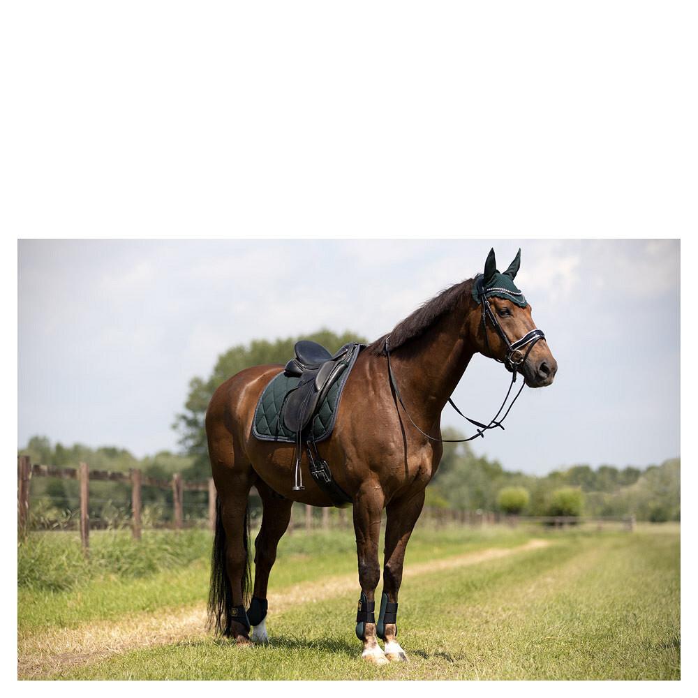 product/b/r/br-equitation_292000-g0558-50_green-gables_2.jpg
