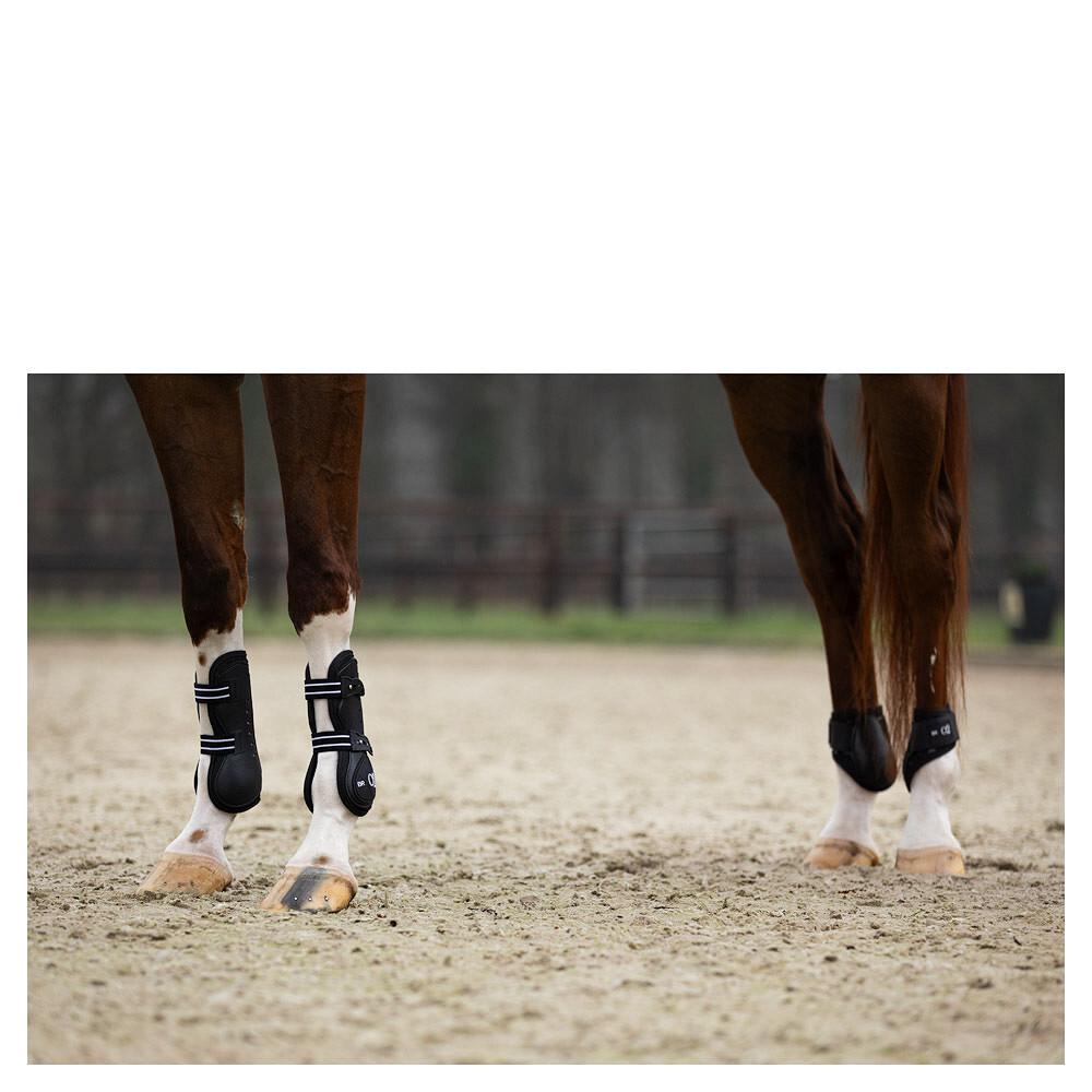 product/b/r/br-equitation_296139-w0018-50_blanc_4.jpg