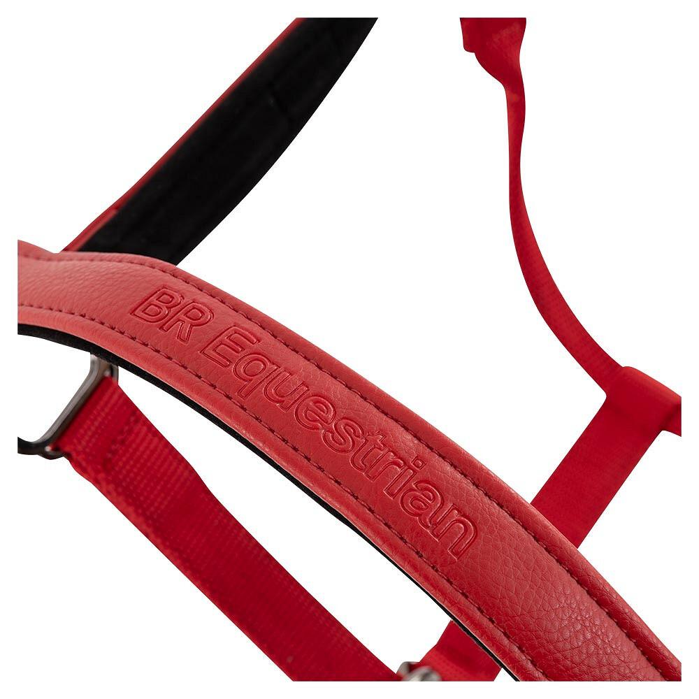 product/b/r/br-equitation_432340-r051-830_tangored_2.jpg