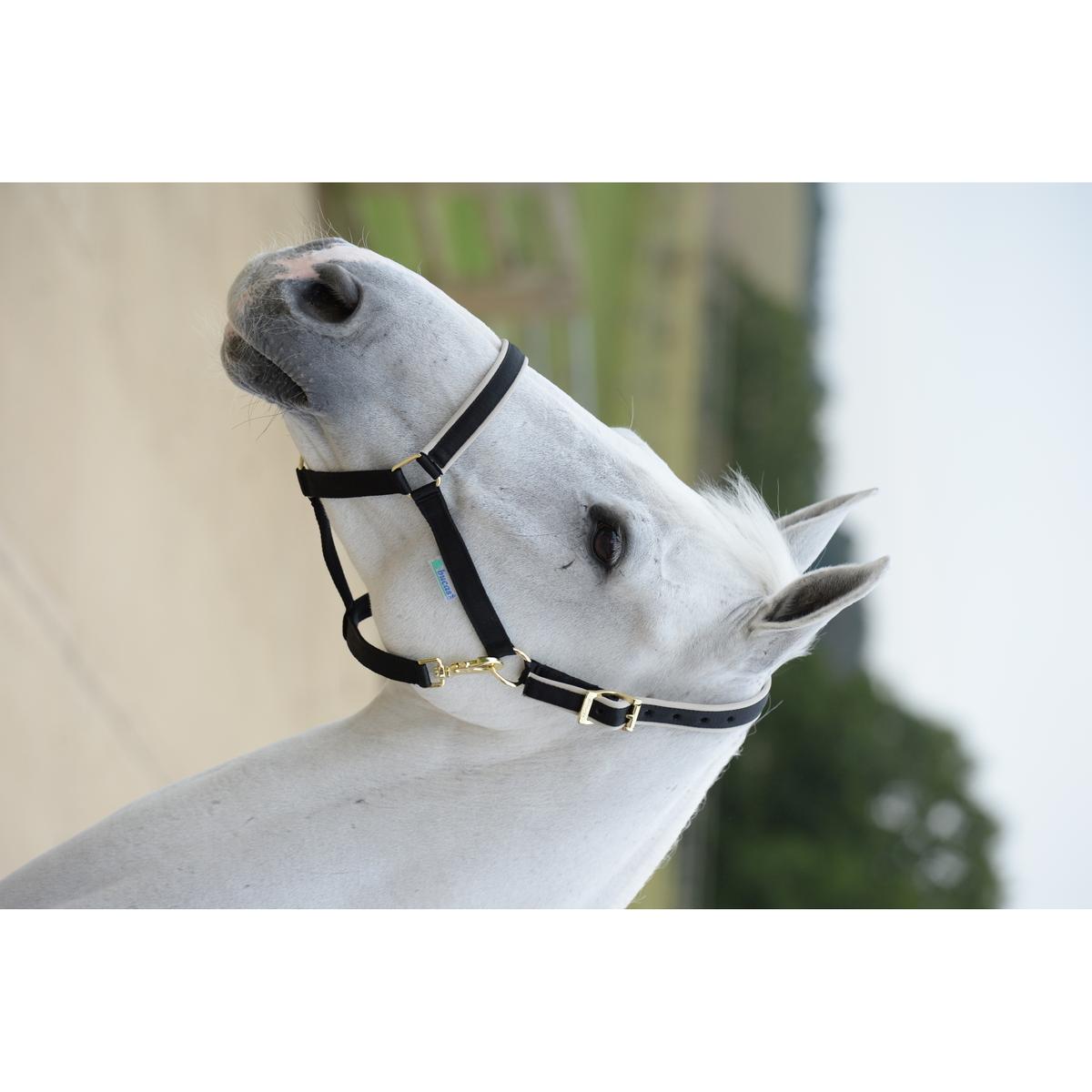 product/b/u/bucas_41250-64_black-silver_1.jpg