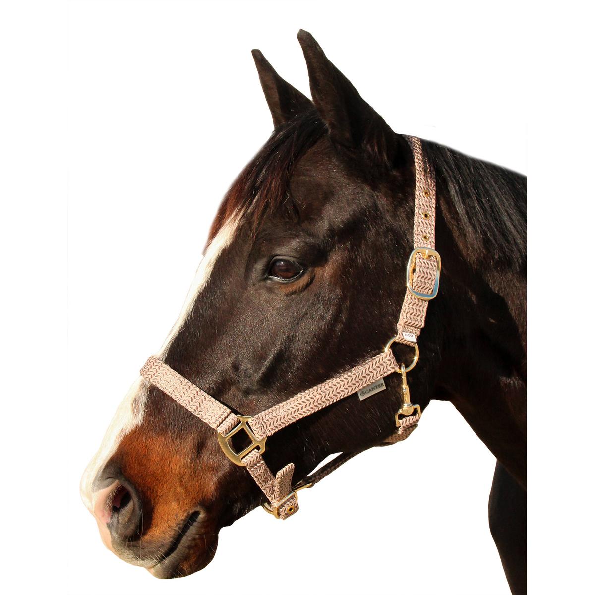 product/c/a/canter_109508-taupe_taupe_1.jpg