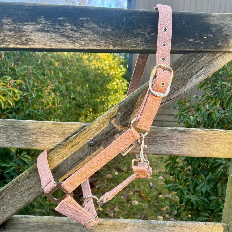 product/c/a/canter_109508-vieux-rose_vieux-rose_2.jpg