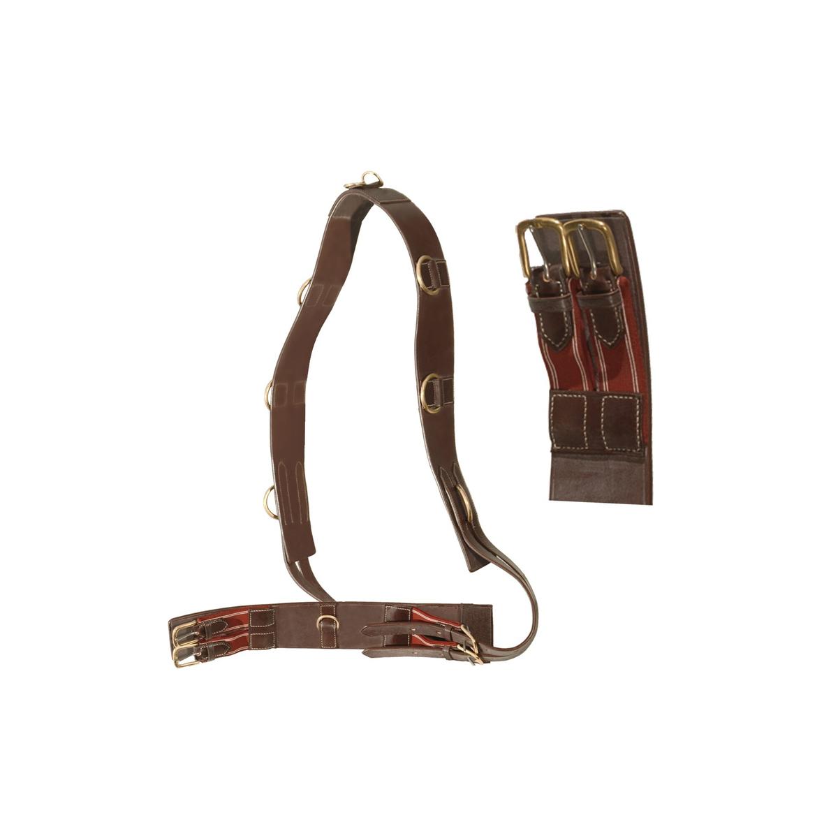product/c/a/canter_110000-marron.jpg