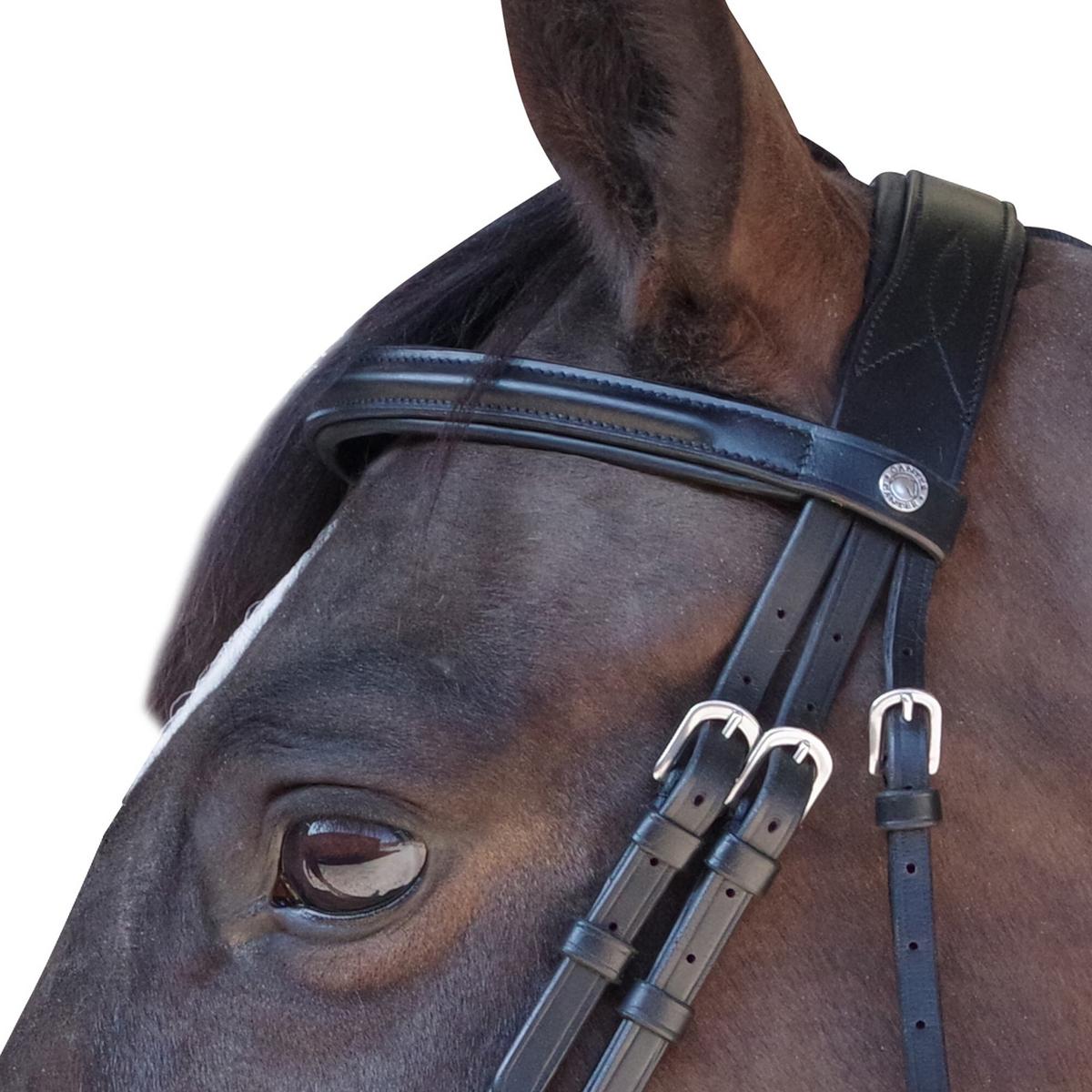 product/c/a/canter_111105-marron_2.jpg