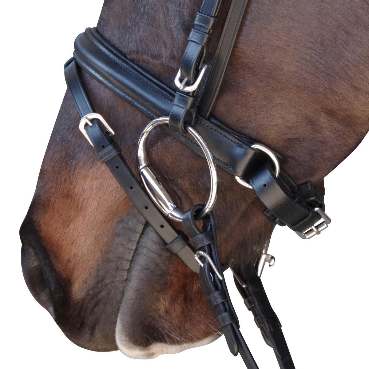 product/c/a/canter_111105-marron_3.jpg