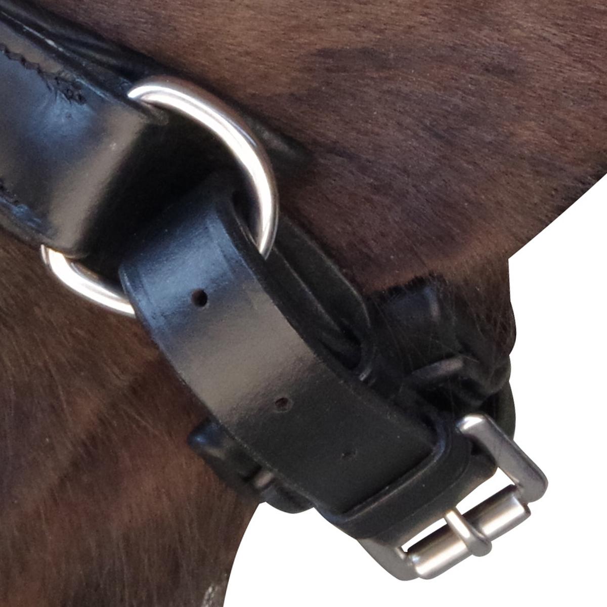 product/c/a/canter_111105-marron_4.jpg
