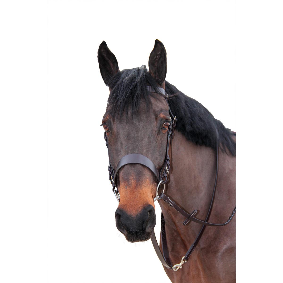 product/c/a/canter_112209-marron_marron_1.jpg