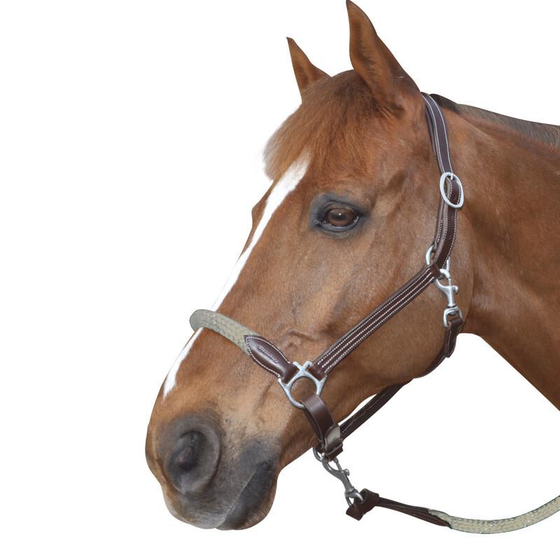 product/c/a/canter_119522-marron-beige_mag4569360_1.jpg