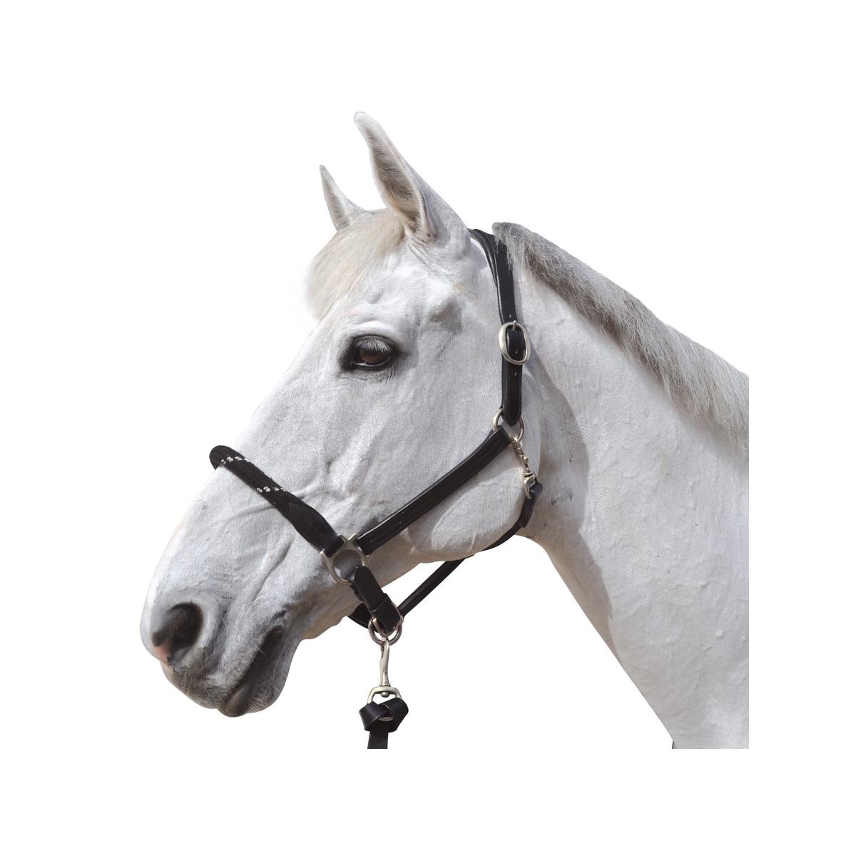product/c/a/canter_119522-noir-argent.jpg
