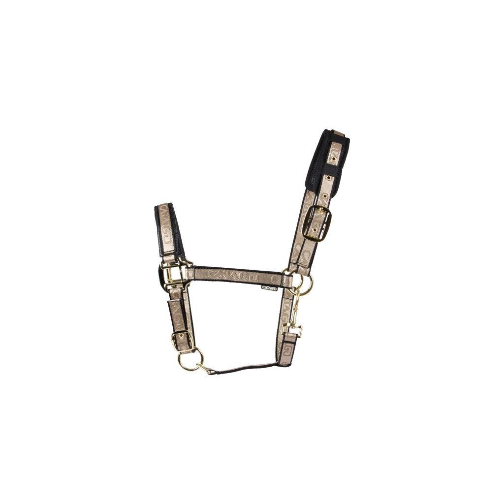 product/c/a/catago_41462031_gold-black_1.jpg