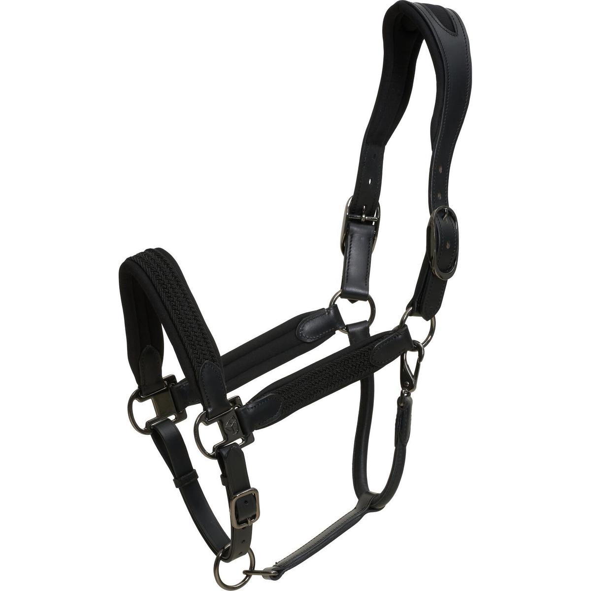 product/c/a/catago_41533001_black_1.jpg