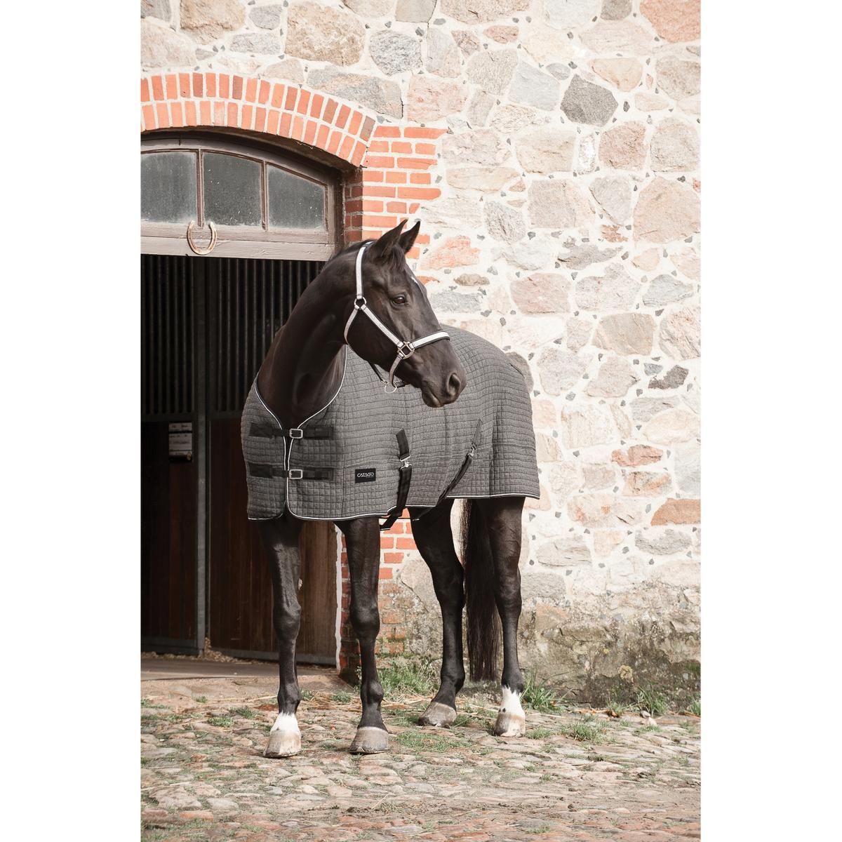 product/c/a/catago_49031518_2.jpg