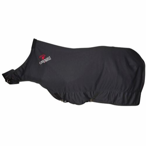 product/c/a/catago_49862001_black_1.jpg