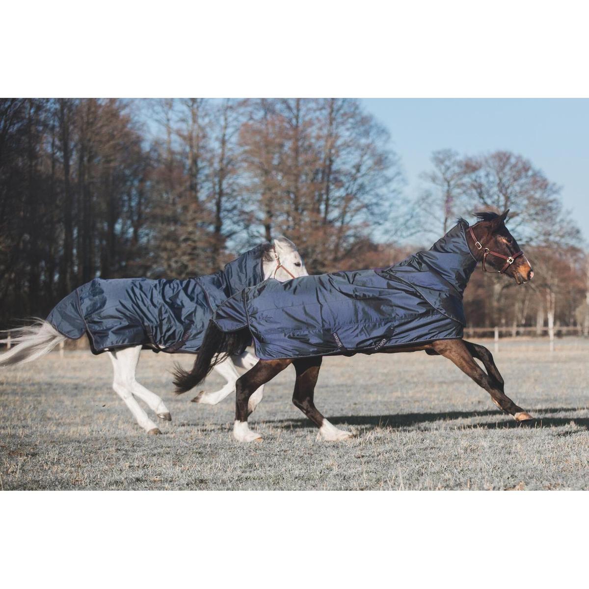 product/c/a/catago_85102599_navy_5.jpg