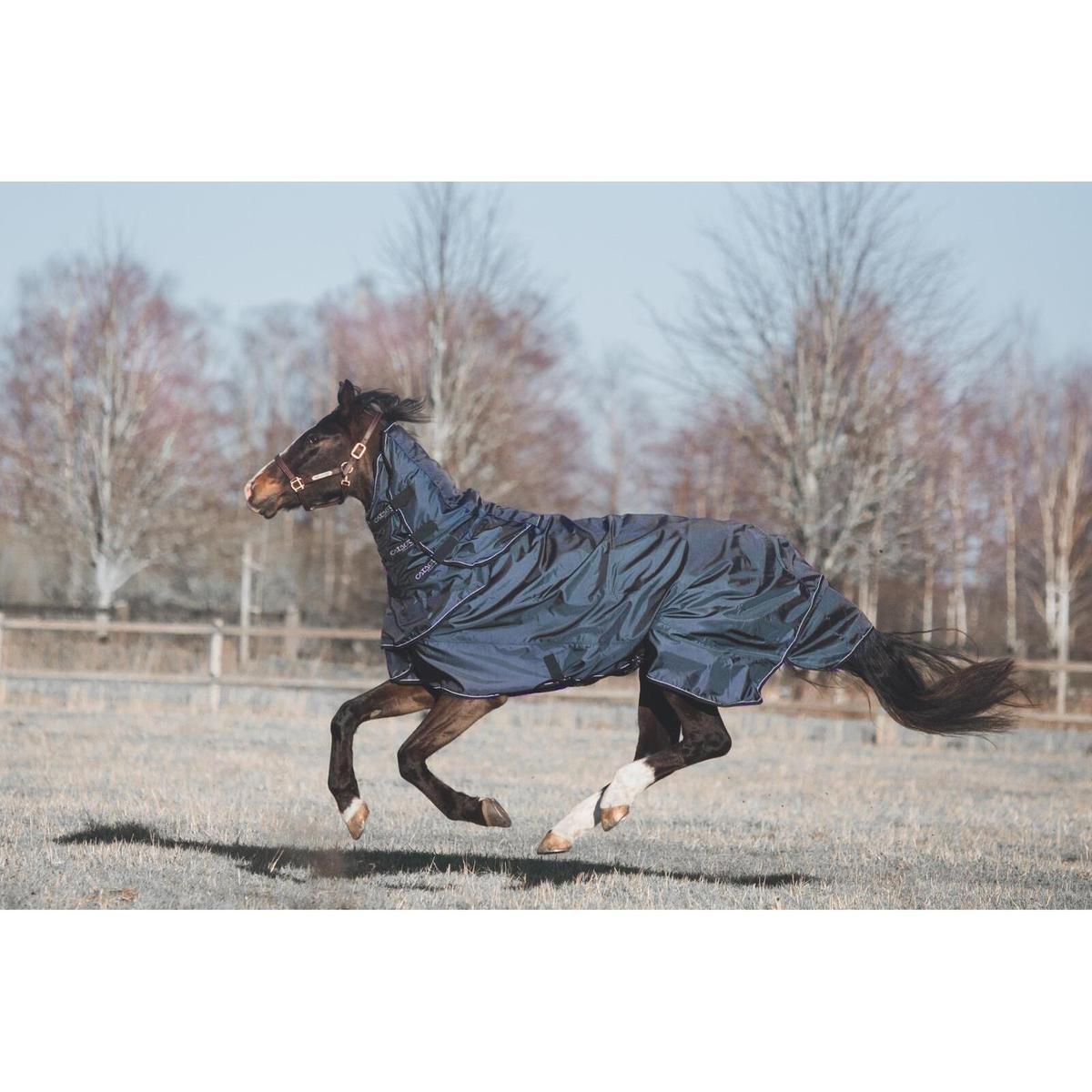 product/c/a/catago_85102599_navy_6.jpg