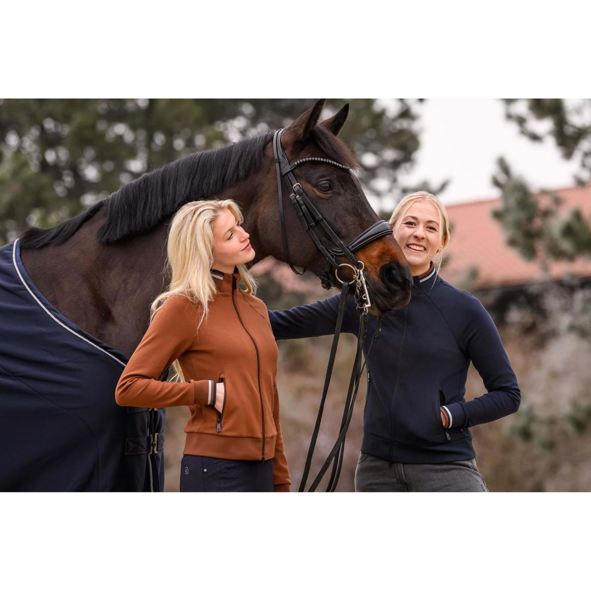 product/c/a/cavallo_003386-8q_darkblue_3.jpg