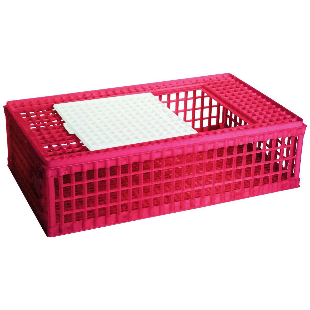 product/c/h/chick-a_590020_rose_1.jpg