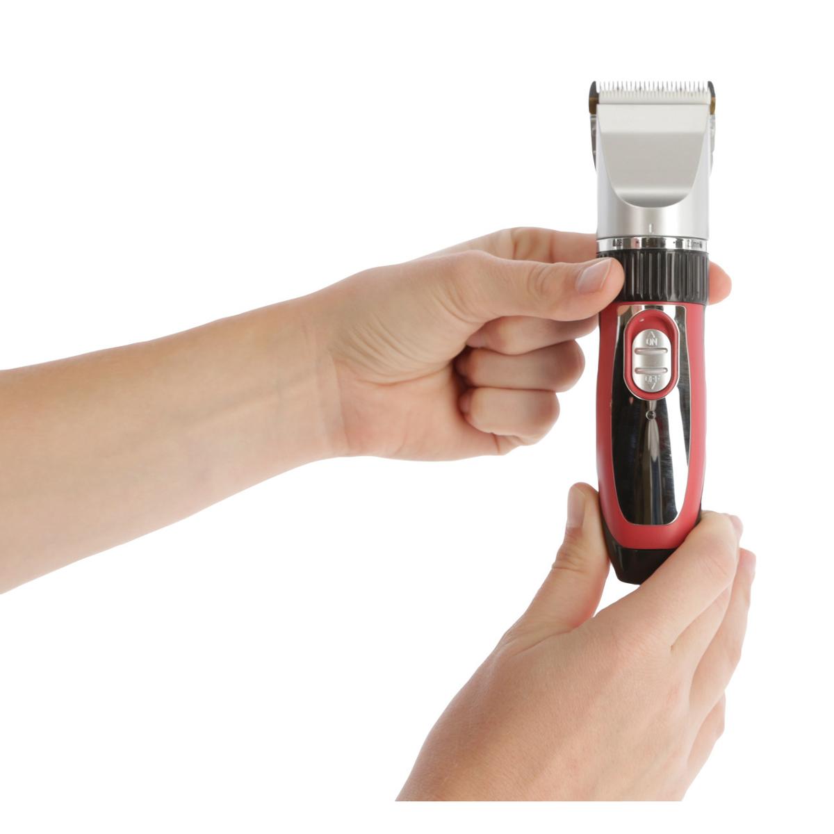 product/c/l/clipster_18265_3.jpg