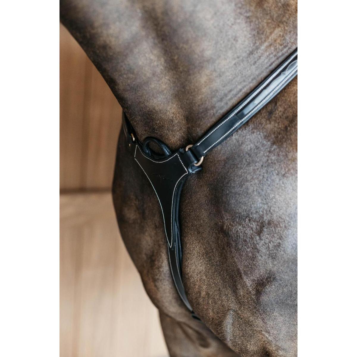product/d/y/dyon_dy06fblf_black_3.jpg