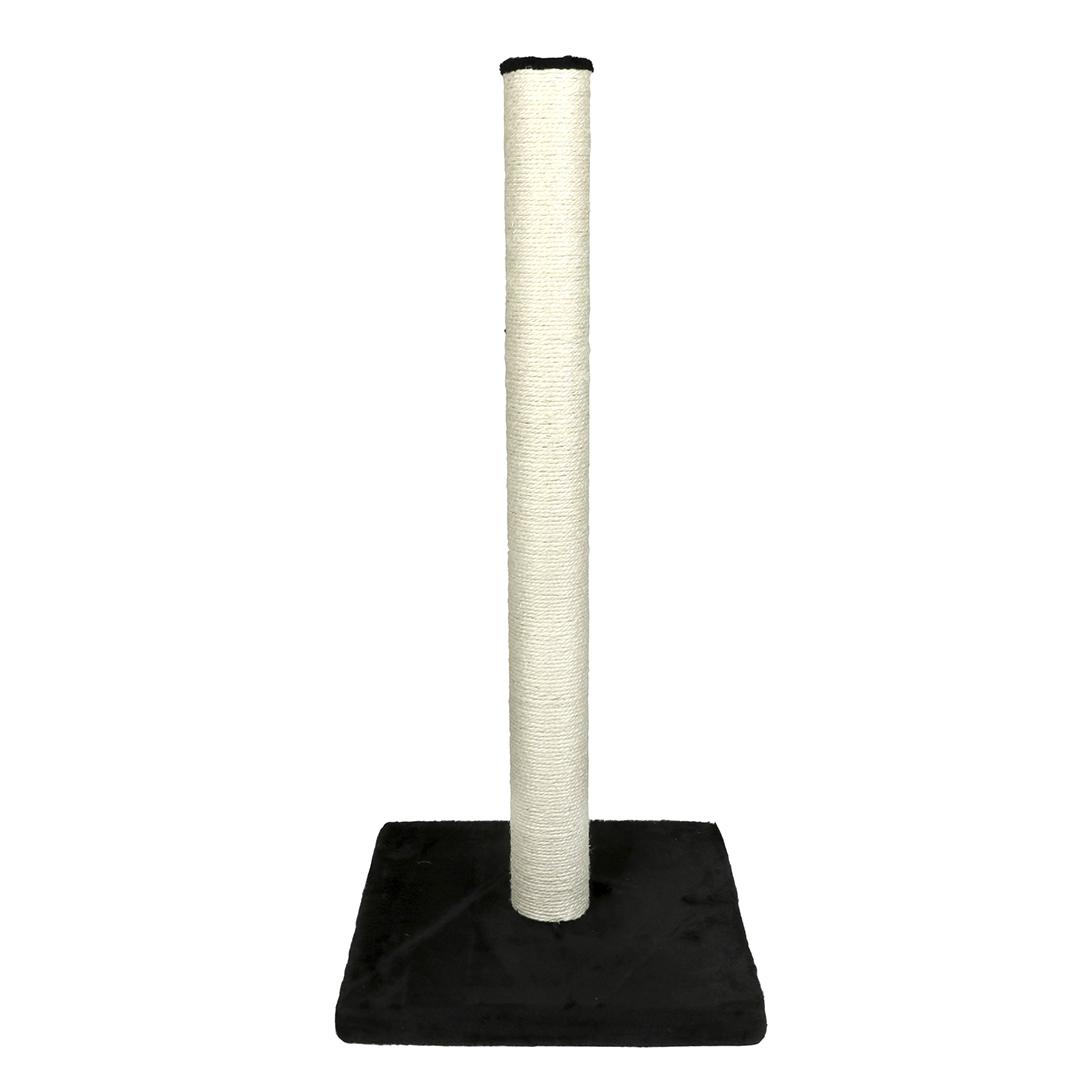 product/e/b/ebi_431-408674_0.jpg