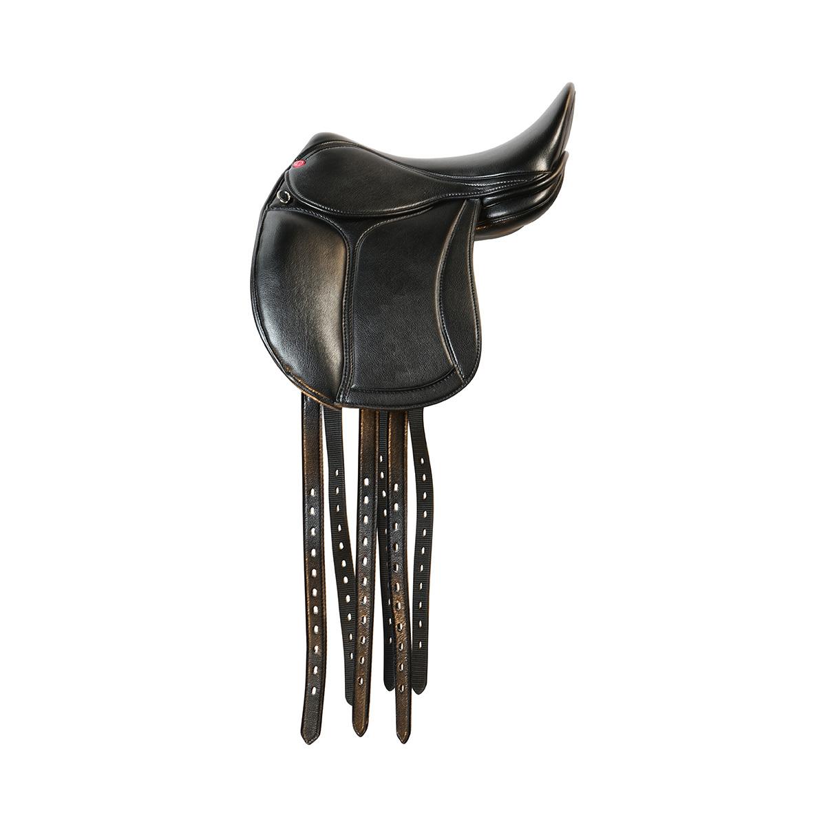 product/e/d/edix-saddles_1.1900.1270140.jpg