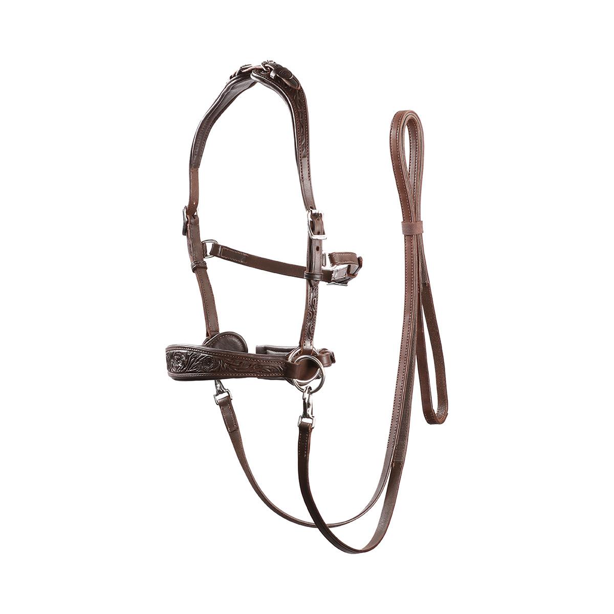 product/e/d/edix-saddles_8.9203.2105015.jpg
