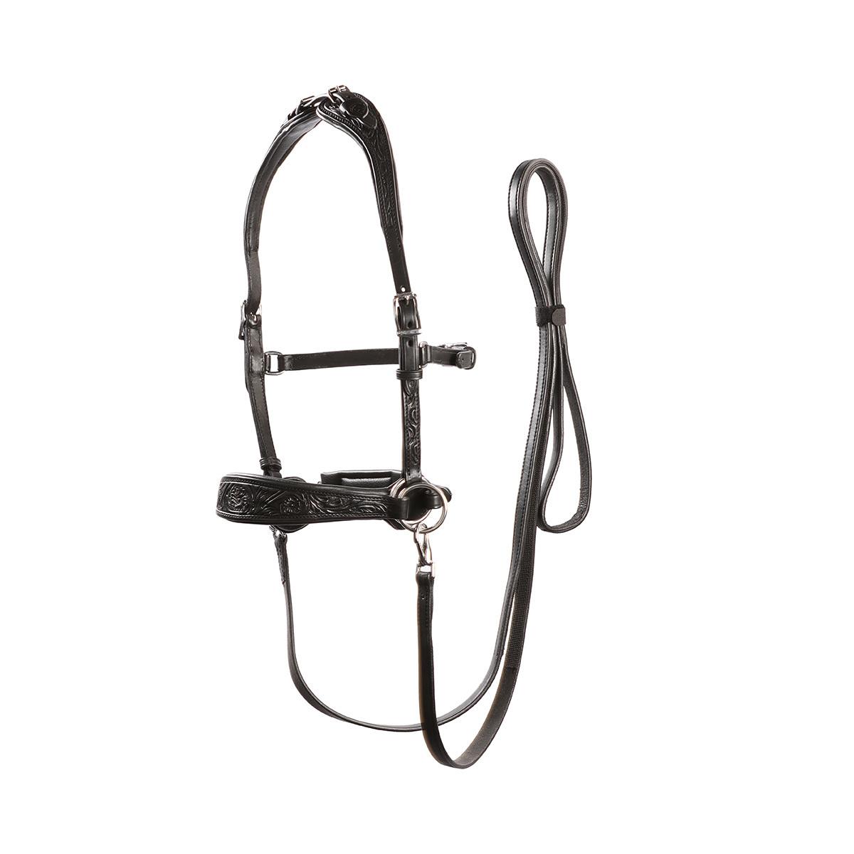 product/e/d/edix-saddles_8.9203.2170015.jpg