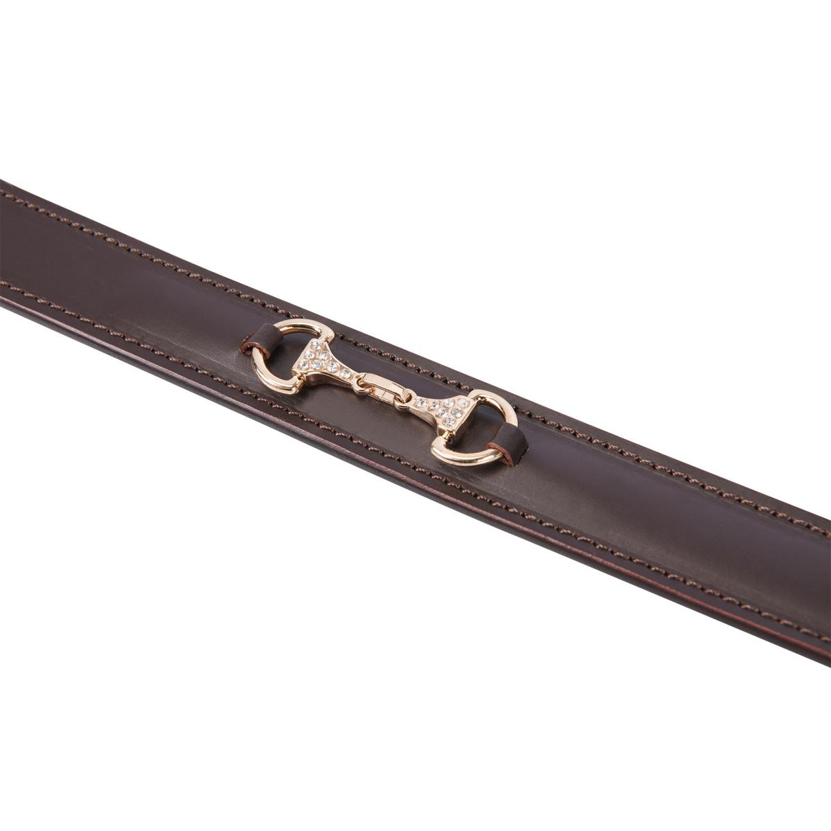 product/e/q/equestro_ab00611a-brown_gold_brown-gold_4.jpg