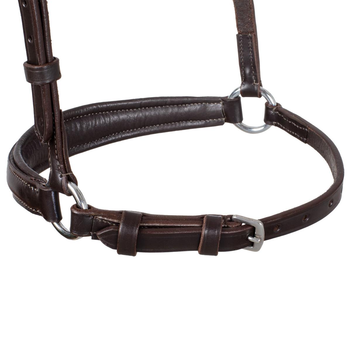 product/e/q/equestro_br00657-darkbrown_marron_4.jpg