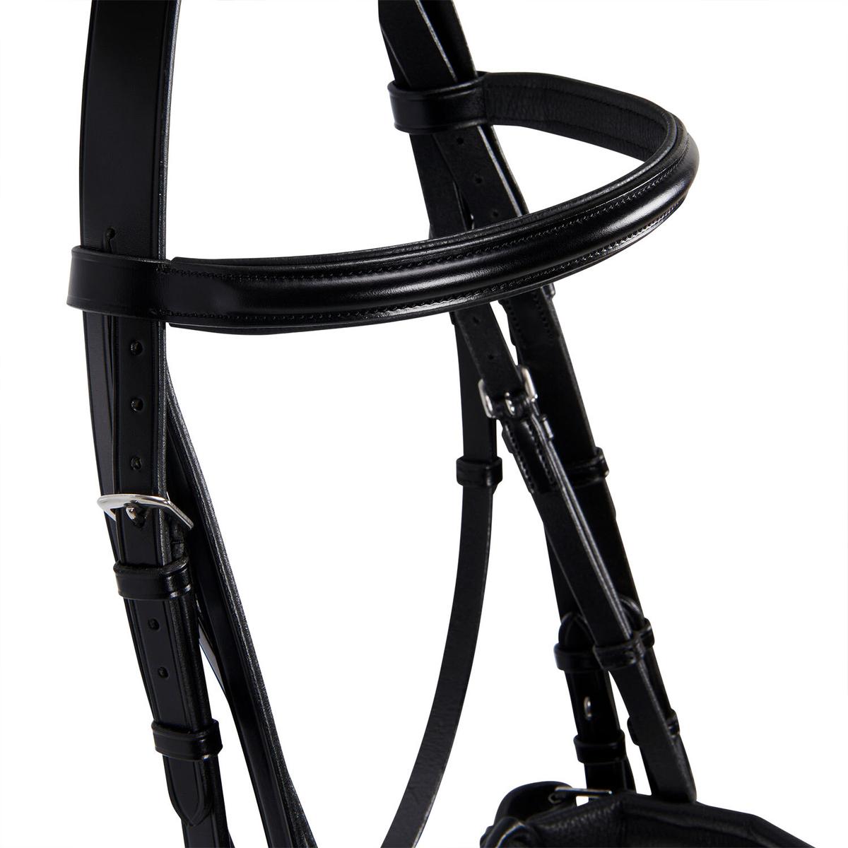 product/e/q/equestro_br00690-black_black_10.jpg